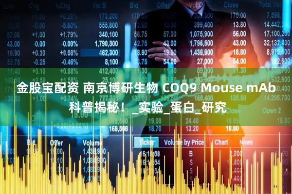 金股宝配资 南京博研生物 COQ9 Mouse mAb 科普揭秘！_实验_蛋白_研究