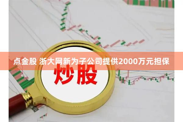 点金股 浙大网新为子公司提供2000万元担保