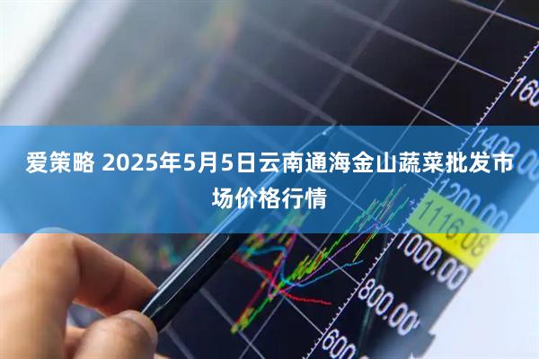 爱策略 2025年5月5日云南通海金山蔬菜批发市场价格行情