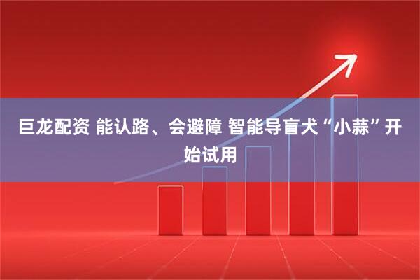 巨龙配资 能认路、会避障 智能导盲犬“小蒜”开始试用